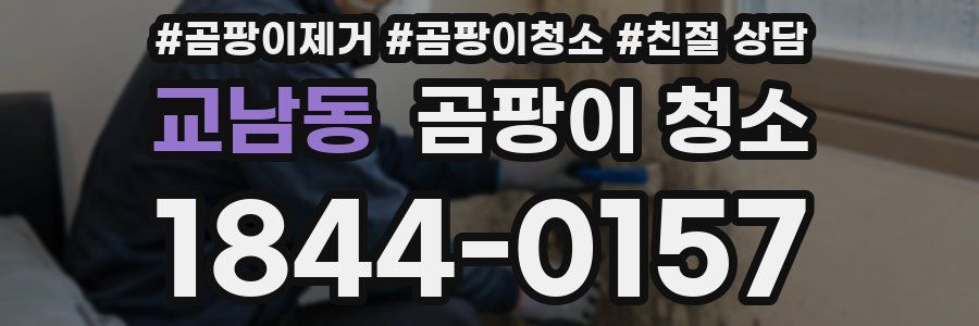 교남동 곰팡이 청소