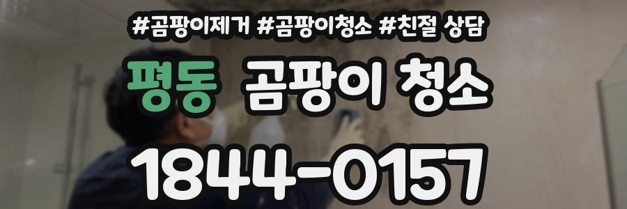평동 곰팡이 청소
