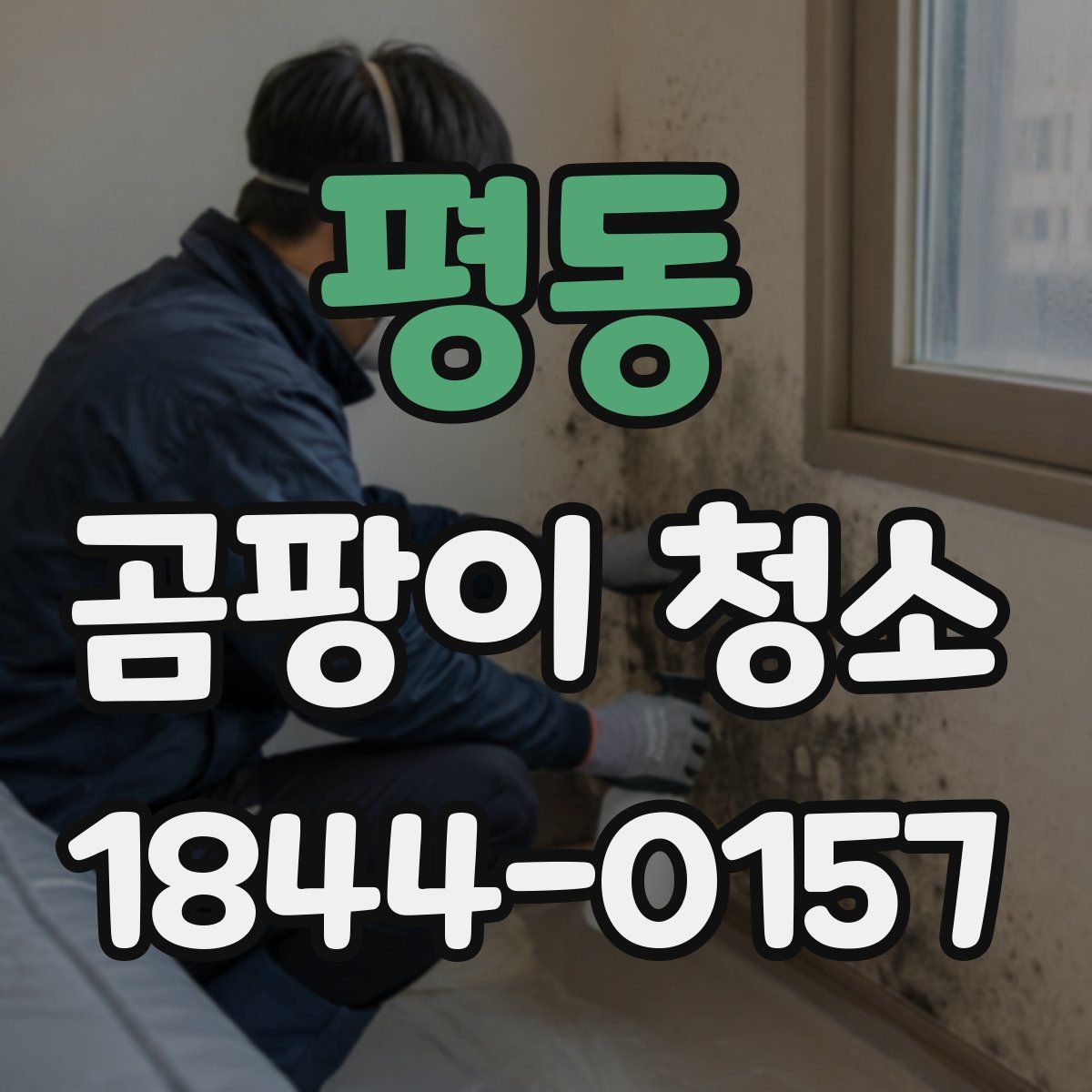 평동 곰팡이 청소