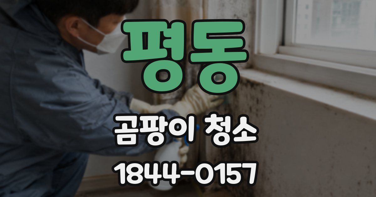 평동 곰팡이 청소