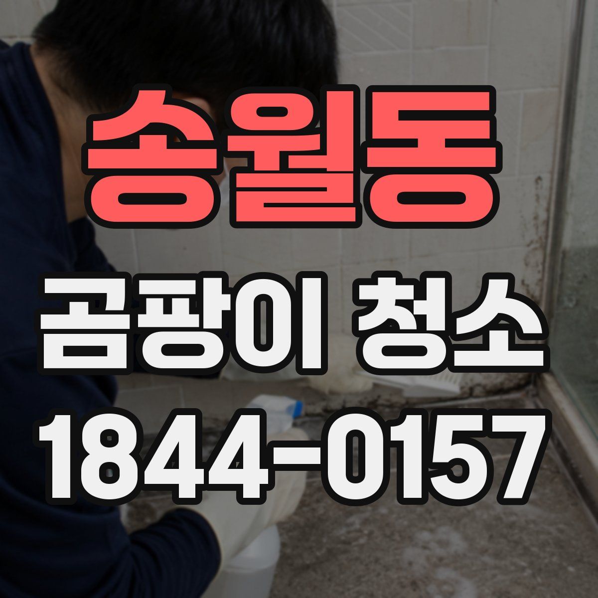송월동 곰팡이 청소
