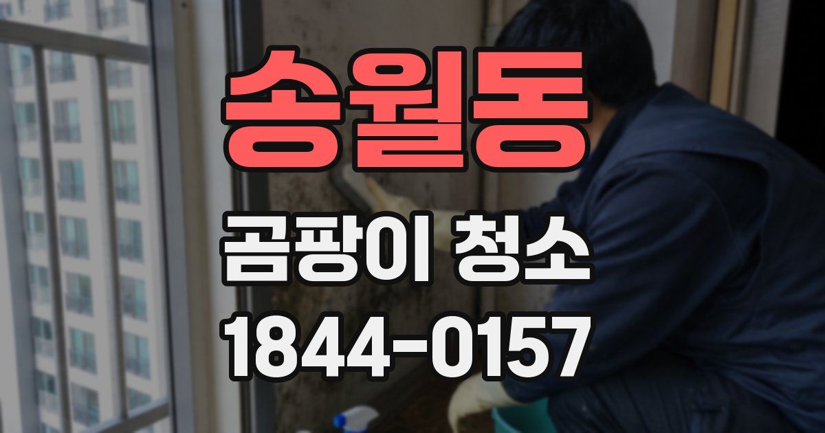 송월동 곰팡이 청소