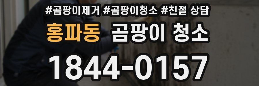 홍파동 곰팡이 청소
