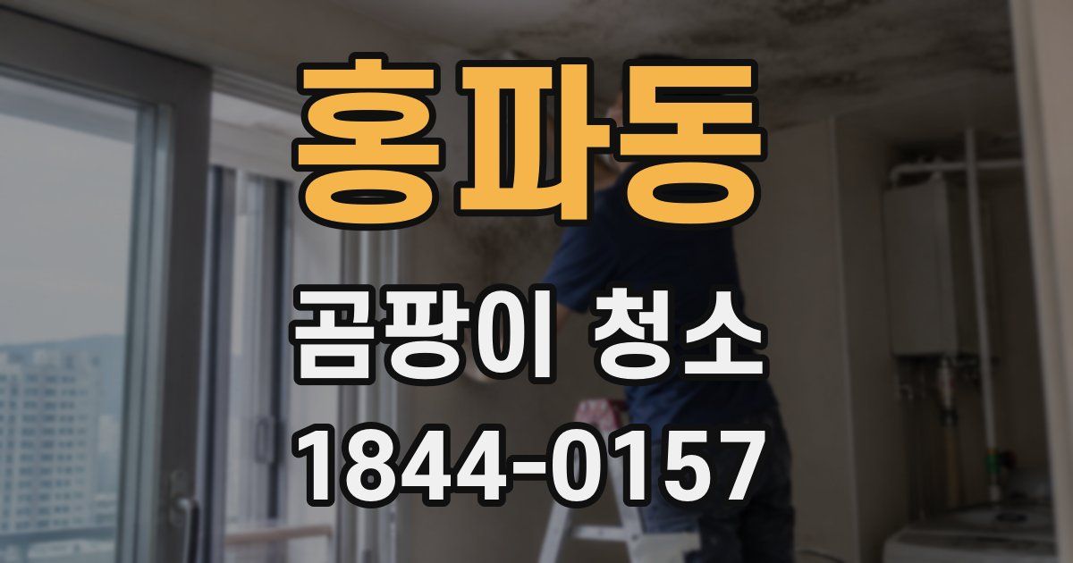 홍파동 곰팡이 청소