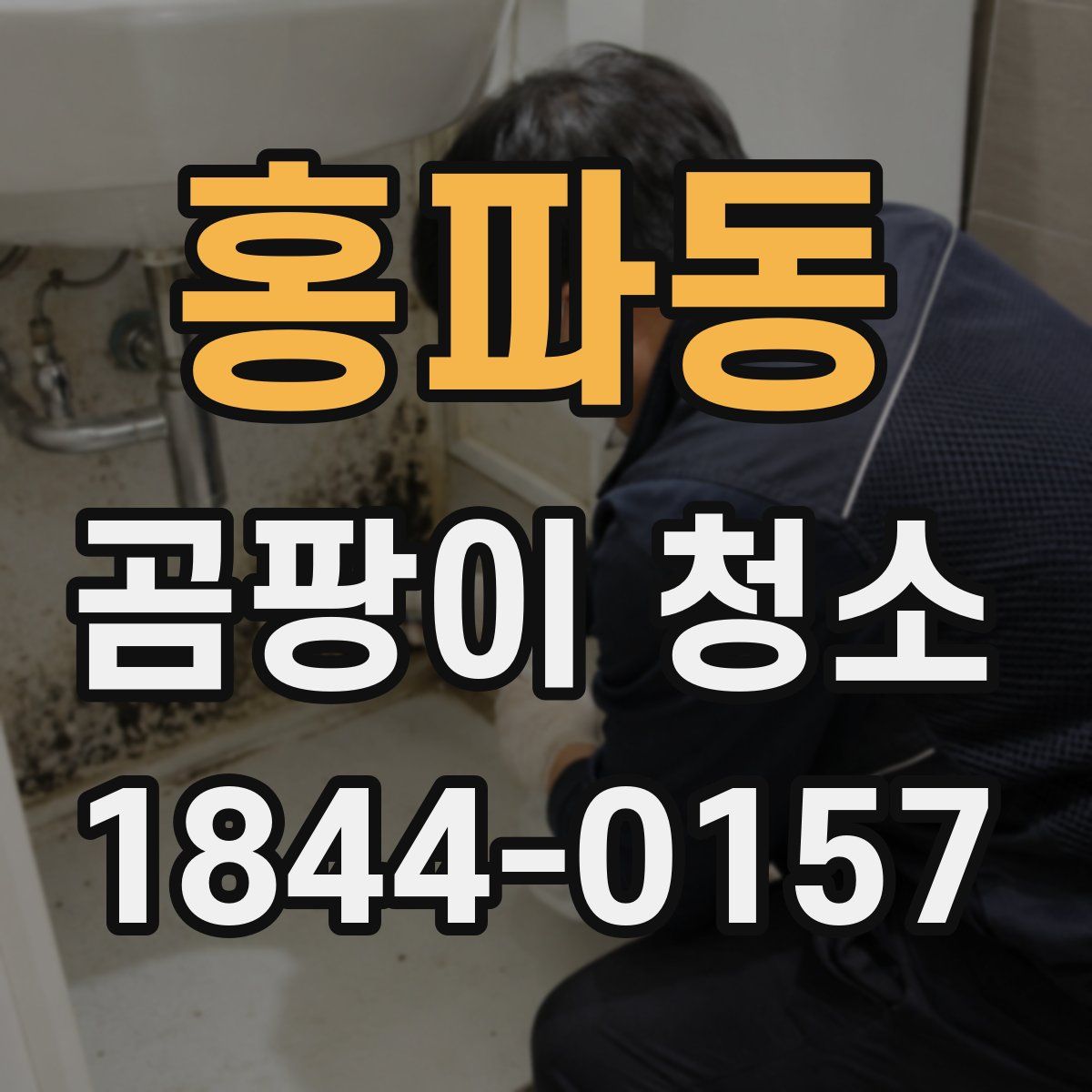 홍파동 곰팡이 청소