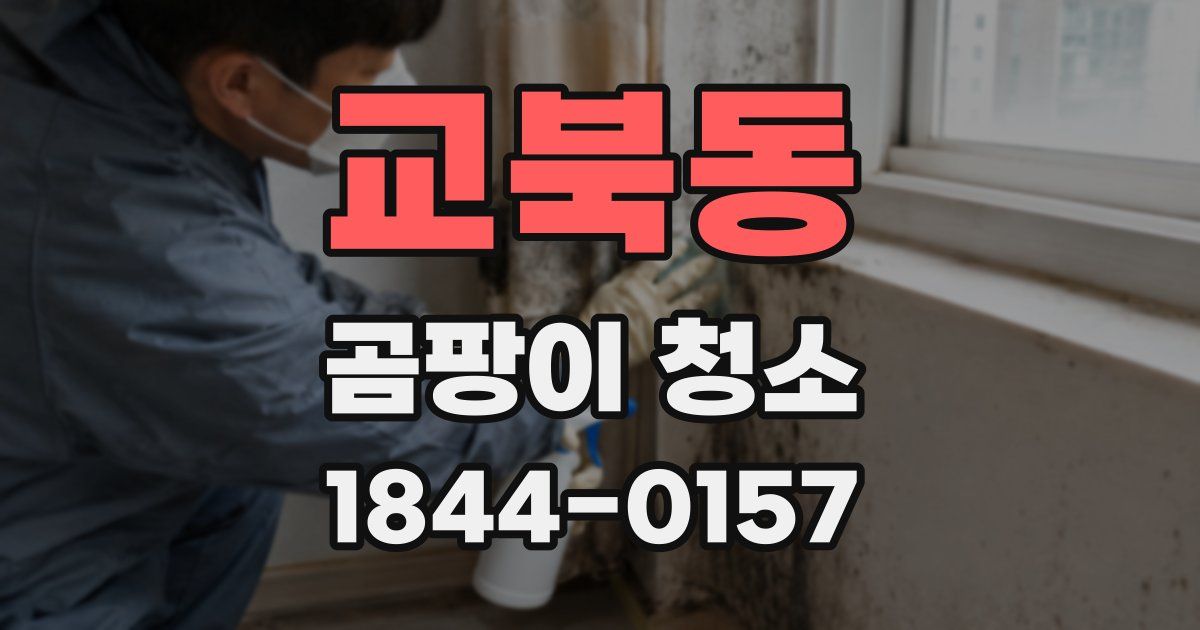 교북동 곰팡이 청소