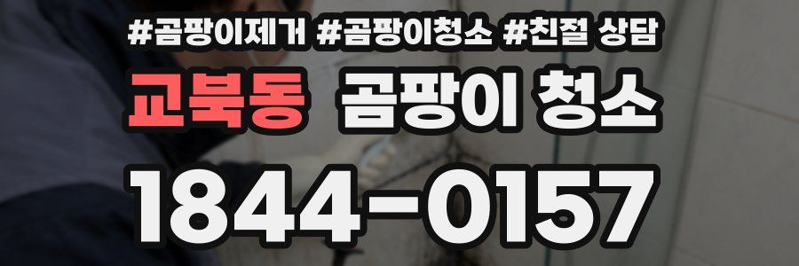 교북동 곰팡이 청소