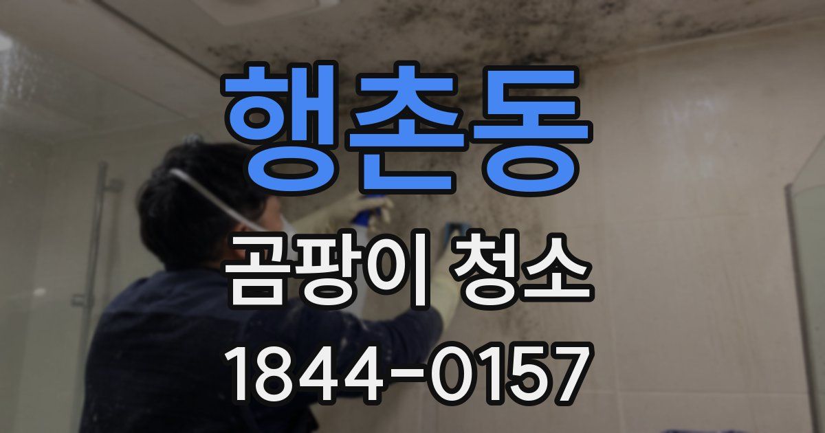행촌동 곰팡이 청소