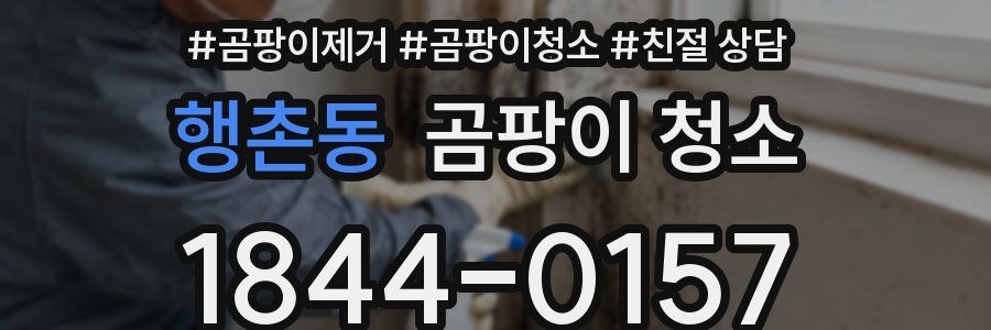 행촌동 곰팡이 청소