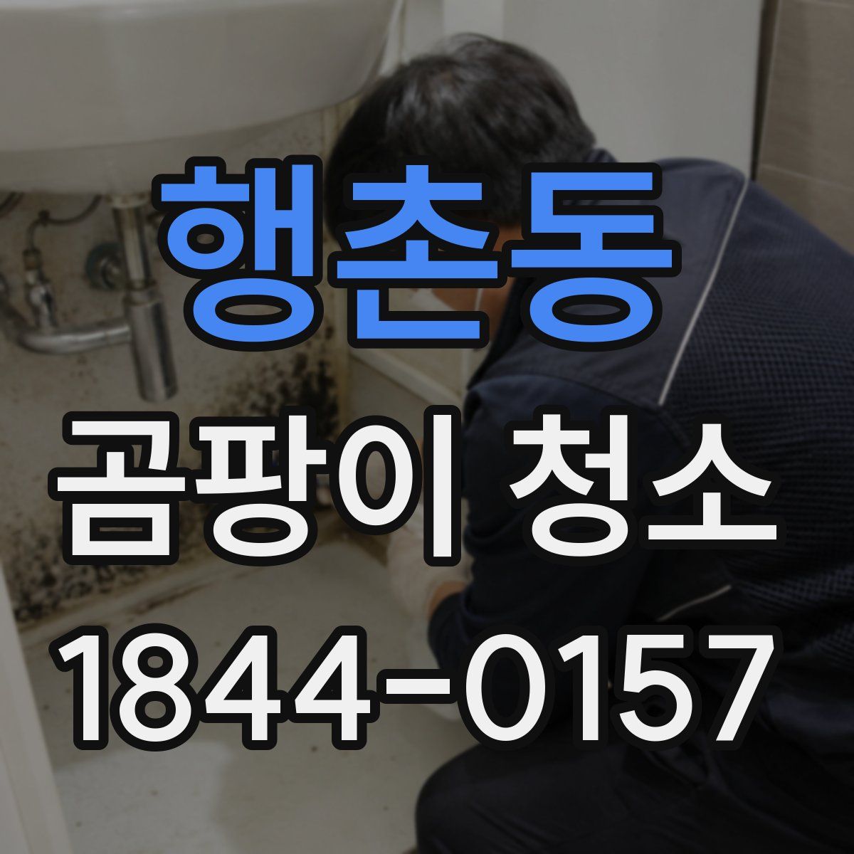 행촌동 곰팡이 청소