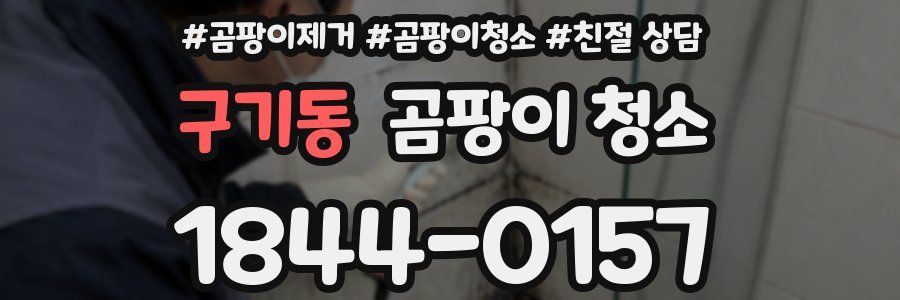 구기동 곰팡이 청소