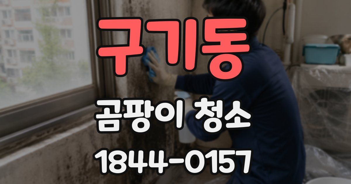 구기동 곰팡이 청소
