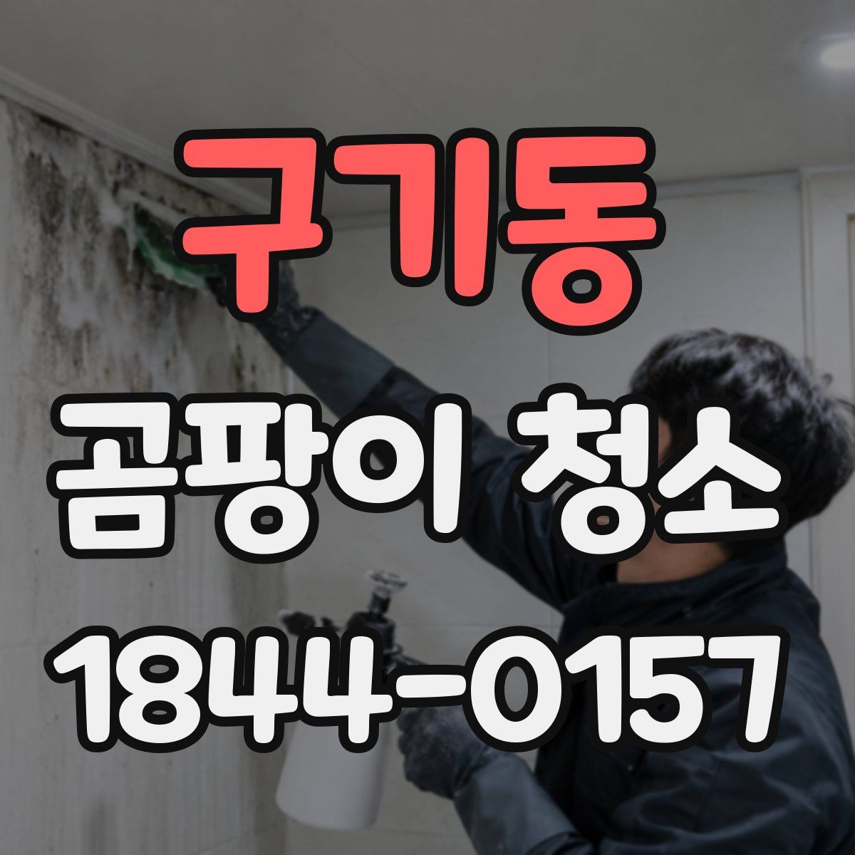 구기동 곰팡이 청소