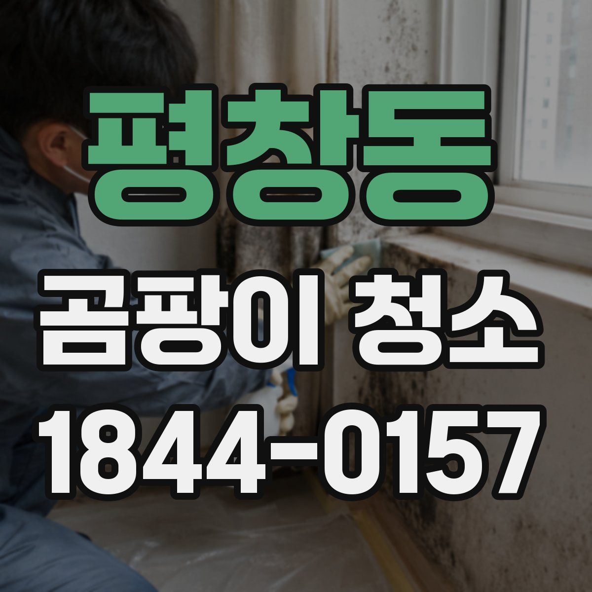 평창동 곰팡이 청소