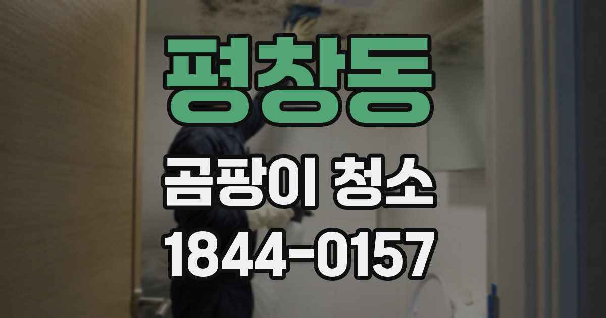 평창동 곰팡이 청소