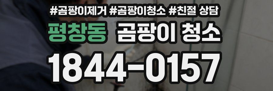 평창동 곰팡이 청소
