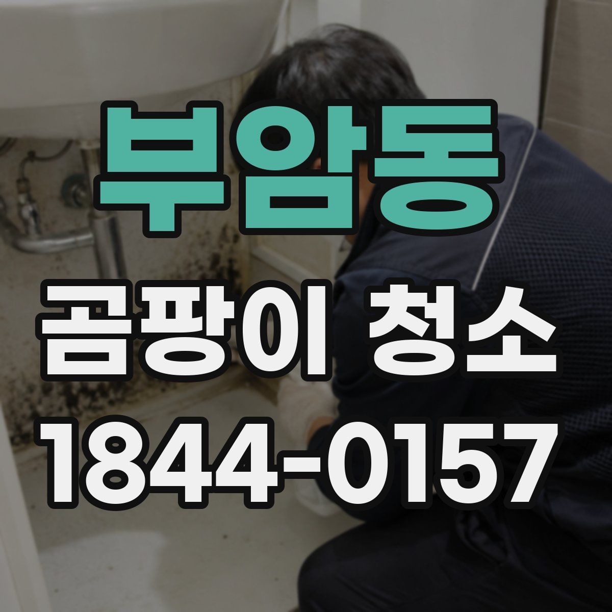 부암동 곰팡이 청소 후 추가 점검이 필요한 부분