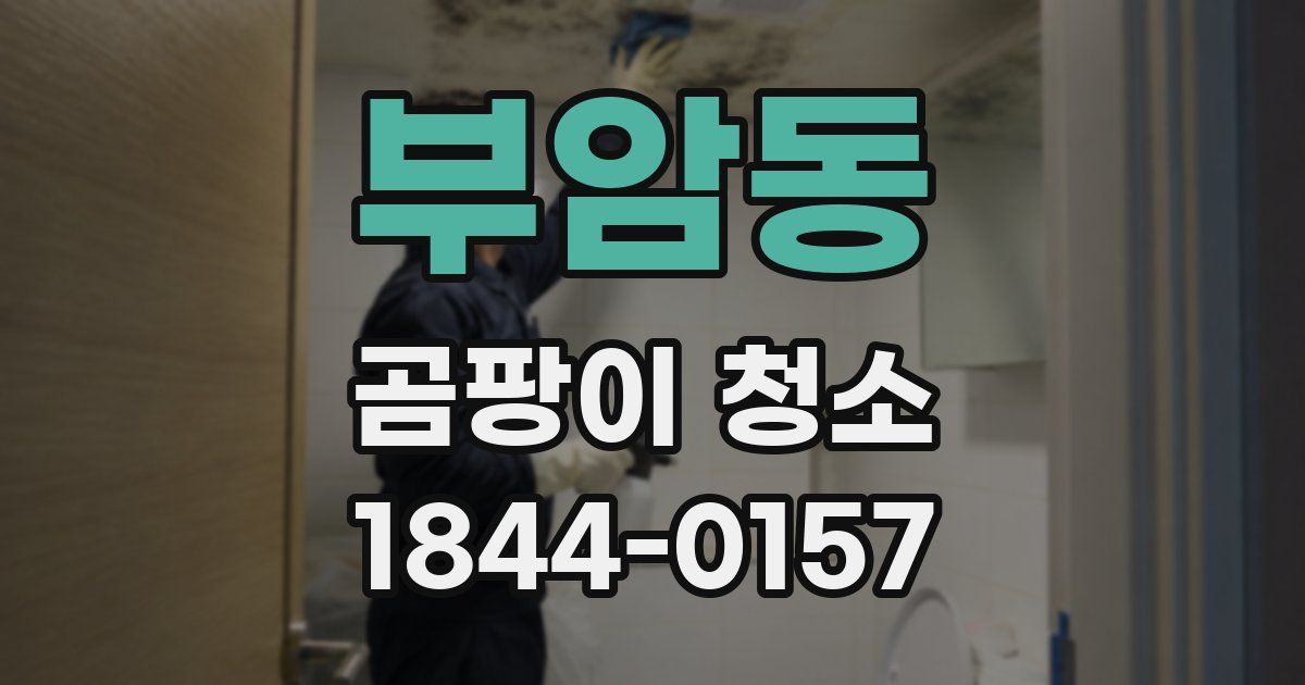 부암동 곰팡이 청소