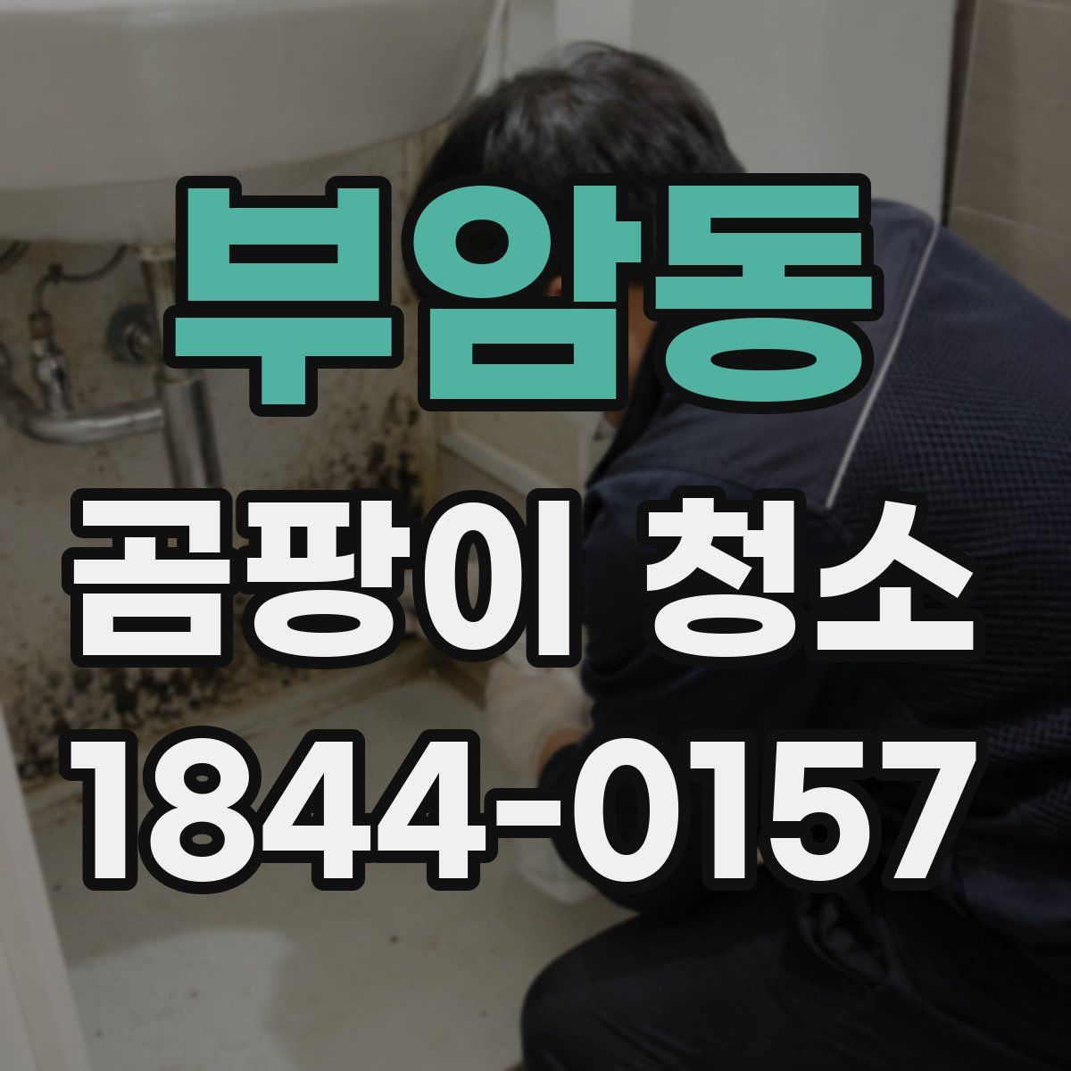 부암동 곰팡이 청소