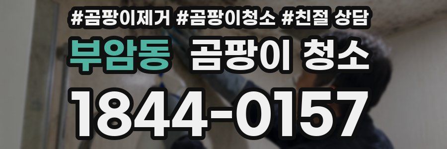 부암동 곰팡이 청소