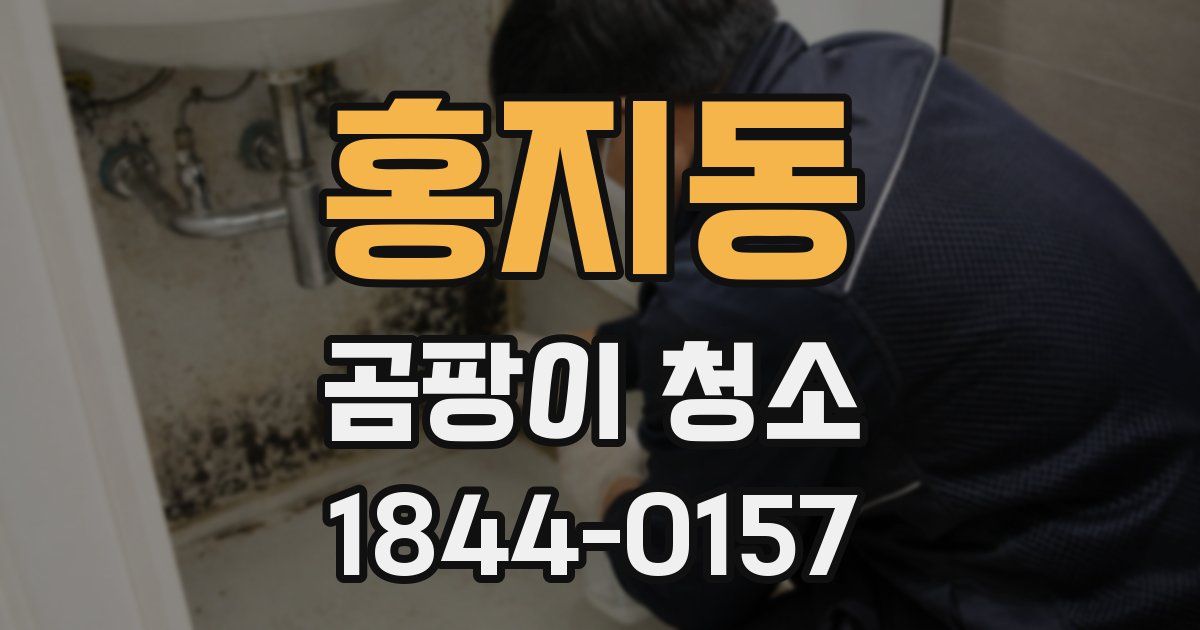 홍지동 곰팡이 청소