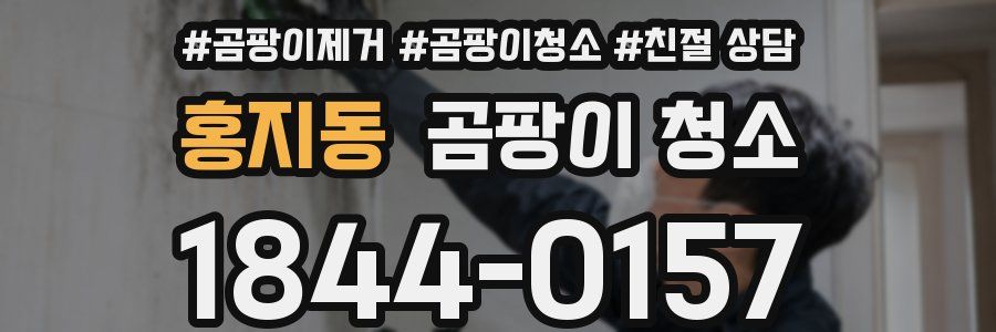 홍지동 곰팡이 청소