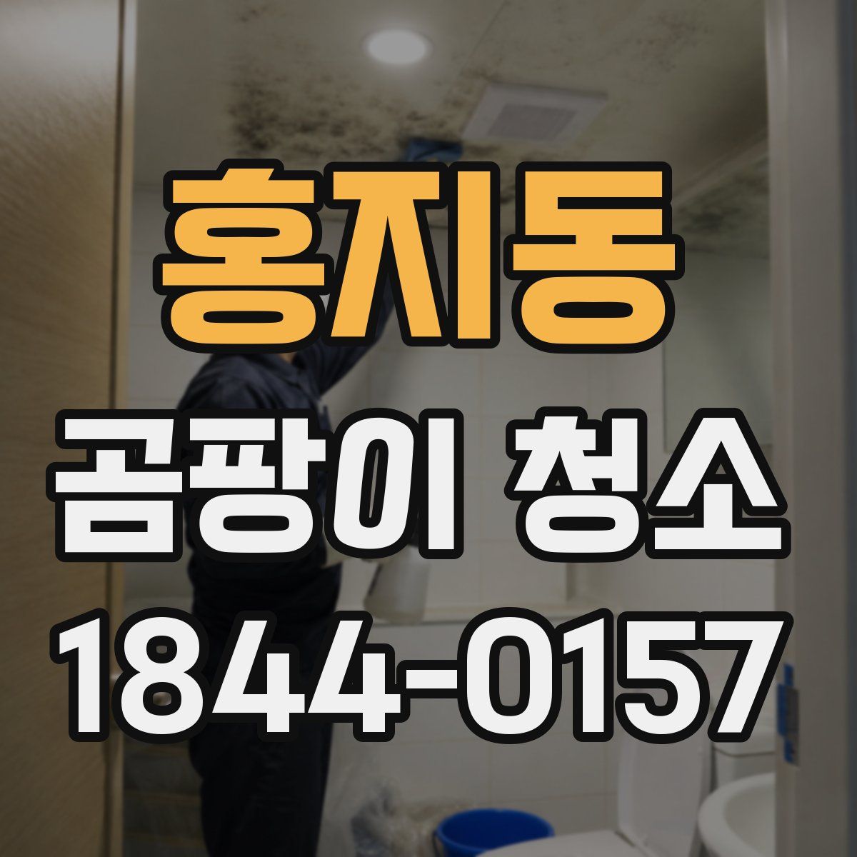 홍지동 곰팡이 청소