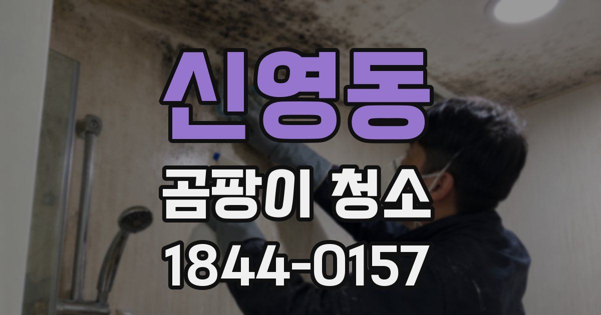 신영동 곰팡이 청소