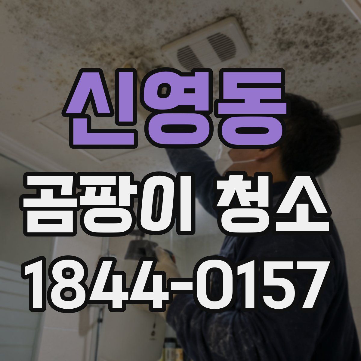신영동 곰팡이 청소