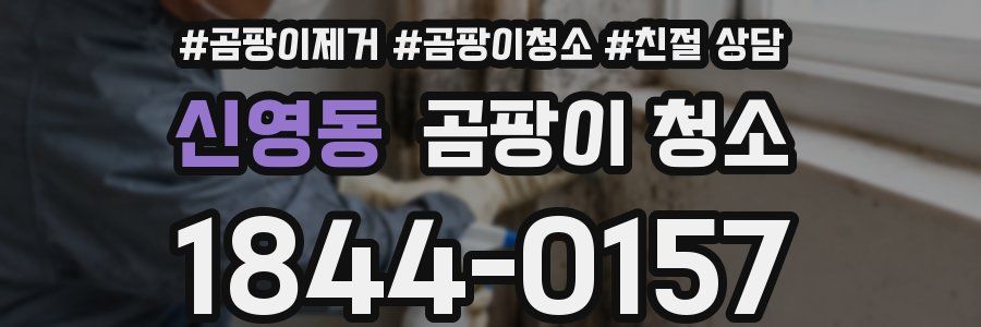 신영동 곰팡이 청소