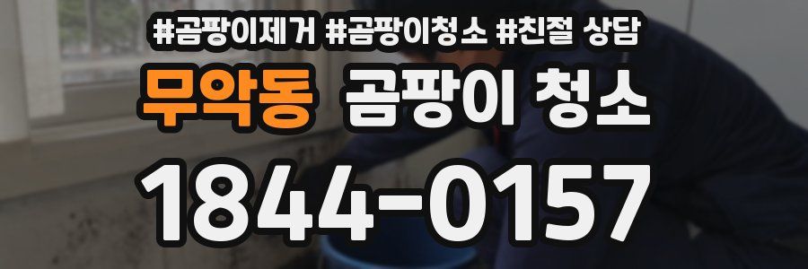 무악동 곰팡이 청소