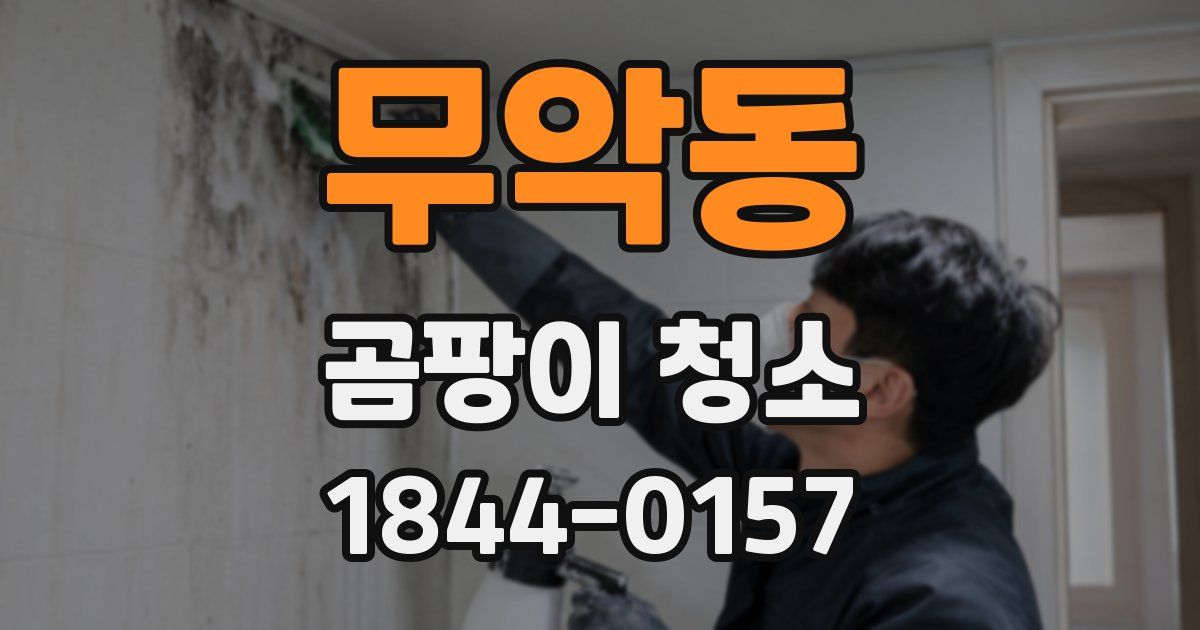 무악동 곰팡이 청소