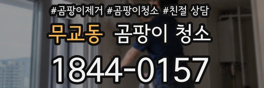 무교동 곰팡이 청소