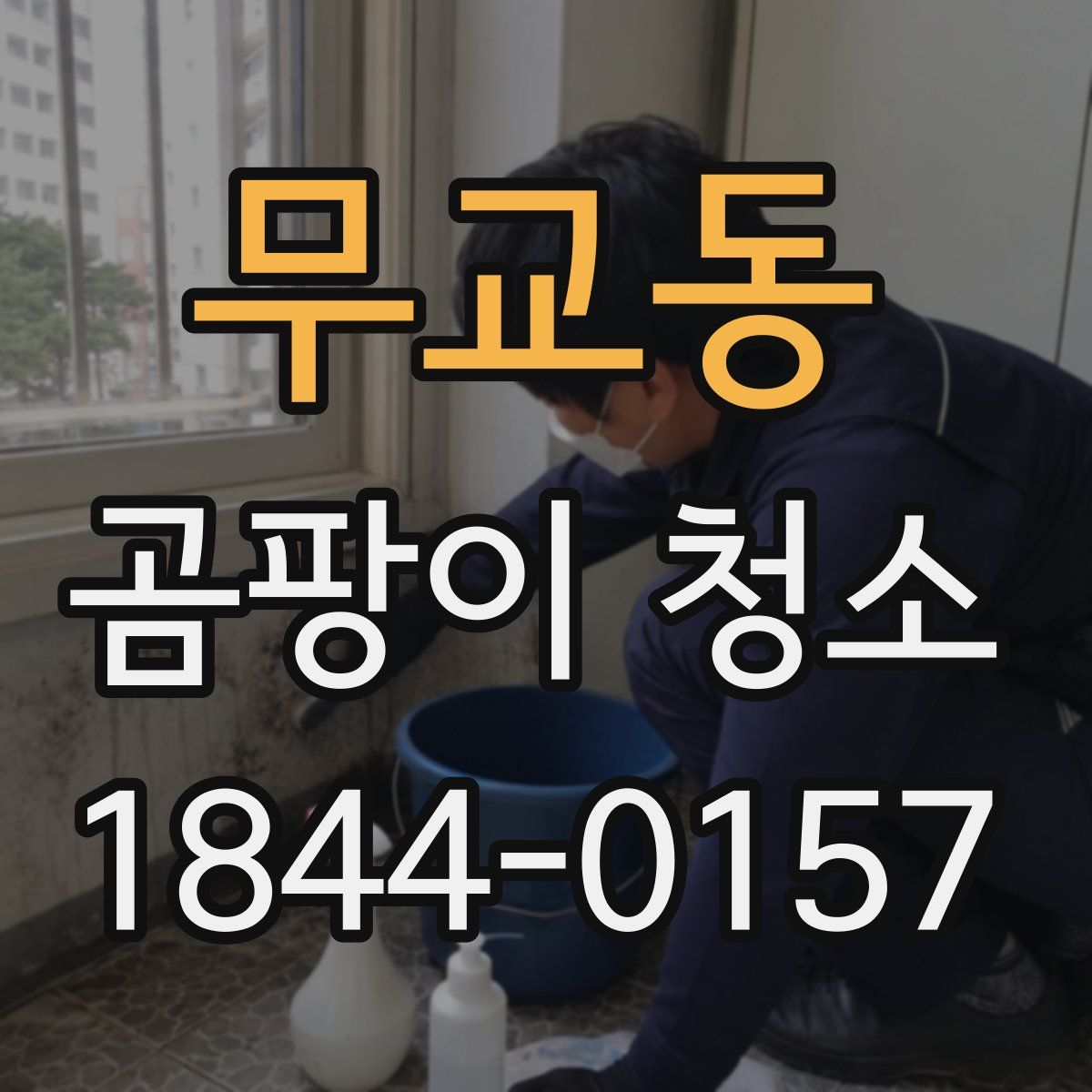 무교동 곰팡이 청소
