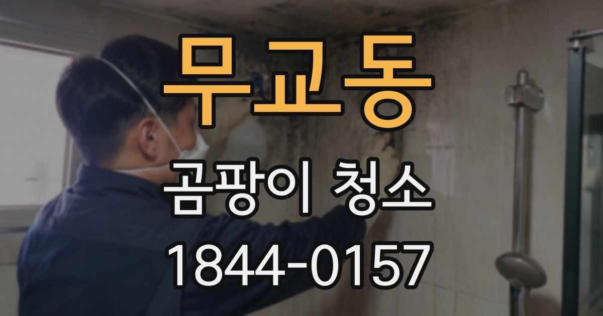무교동 곰팡이 청소