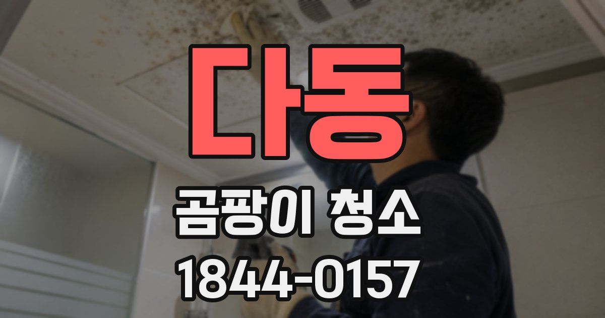 다동 곰팡이 청소