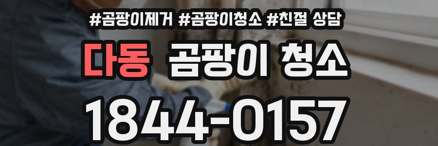 다동 곰팡이 청소