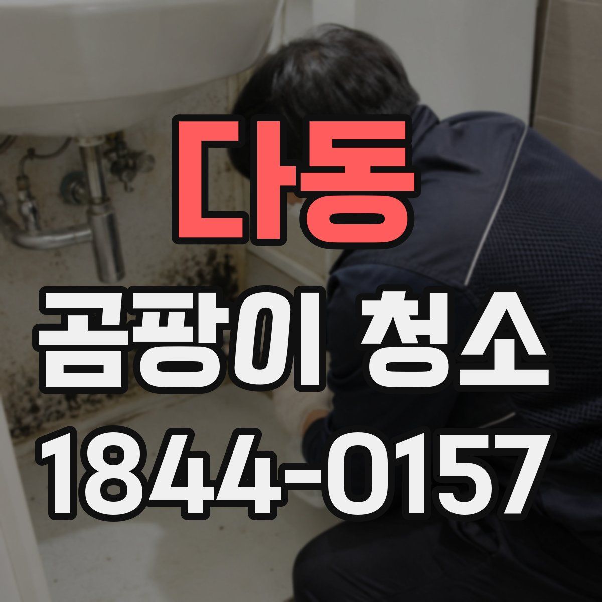 다동 곰팡이 청소