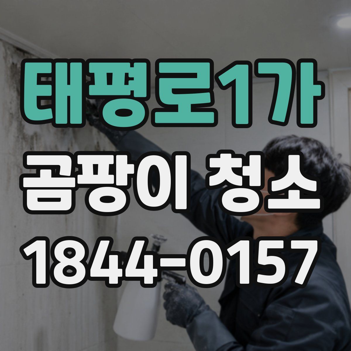태평로1가 곰팡이 청소