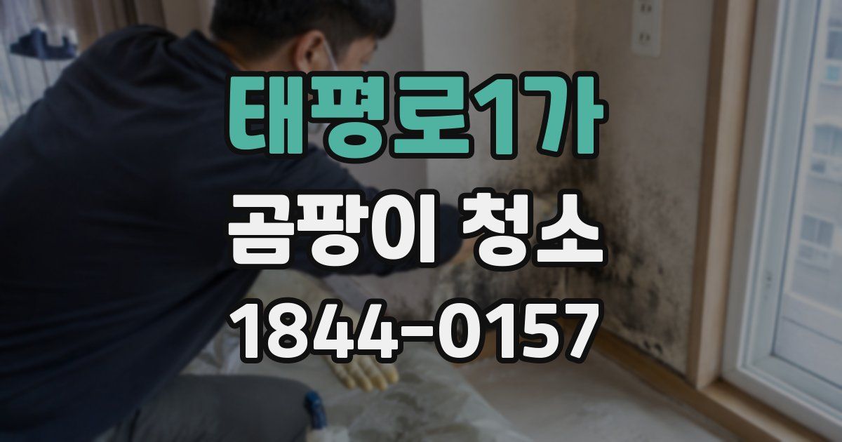 태평로1가 곰팡이 청소