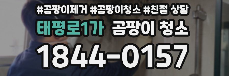 태평로1가 곰팡이 청소