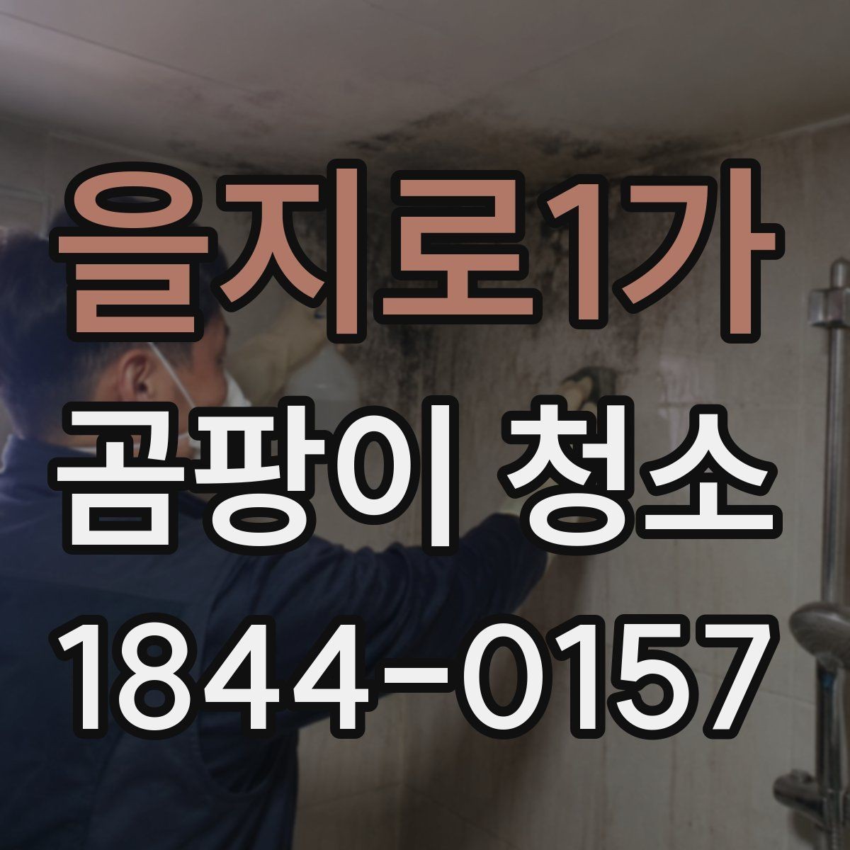 을지로1가 곰팡이 청소 후 아이가 있는 집에서 신경 쓸 점