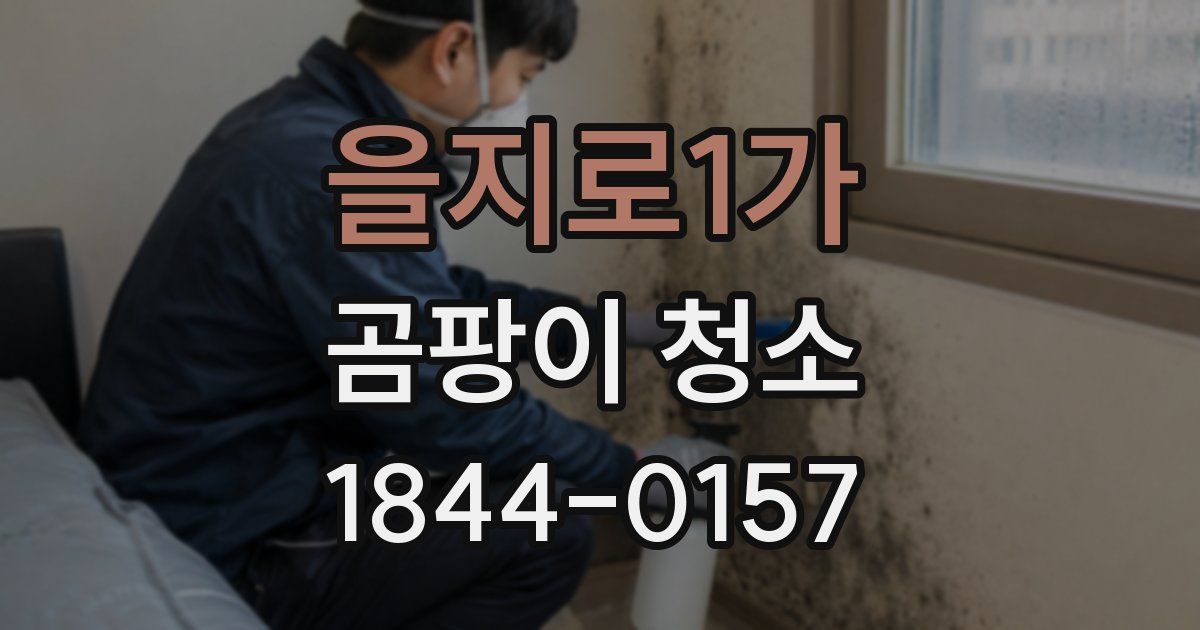을지로1가 곰팡이 청소