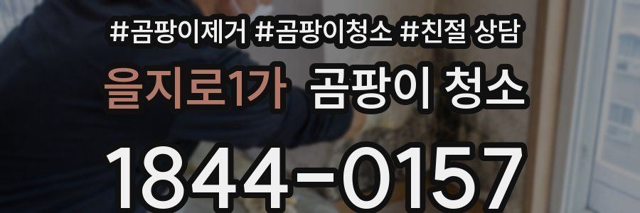 을지로1가 곰팡이 청소