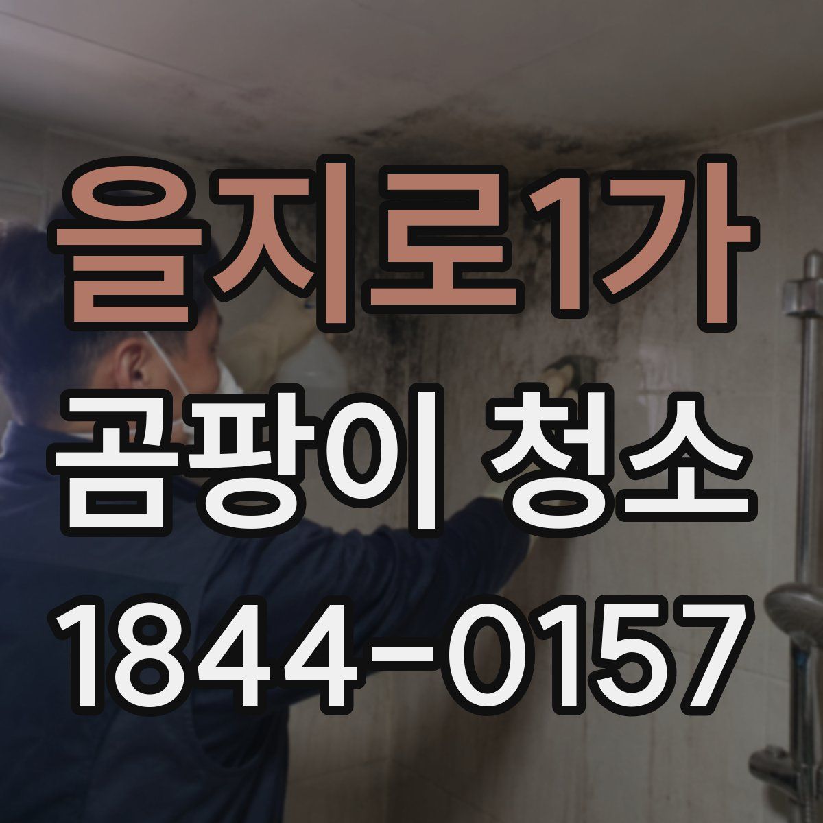 을지로1가 곰팡이 청소
