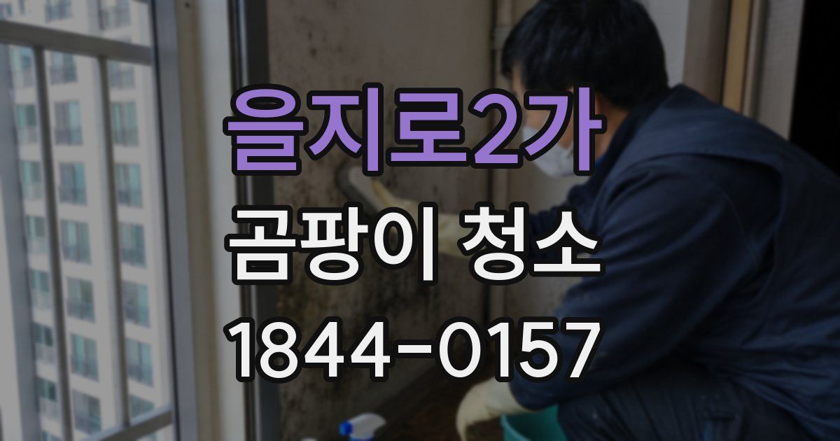 을지로2가 곰팡이 청소