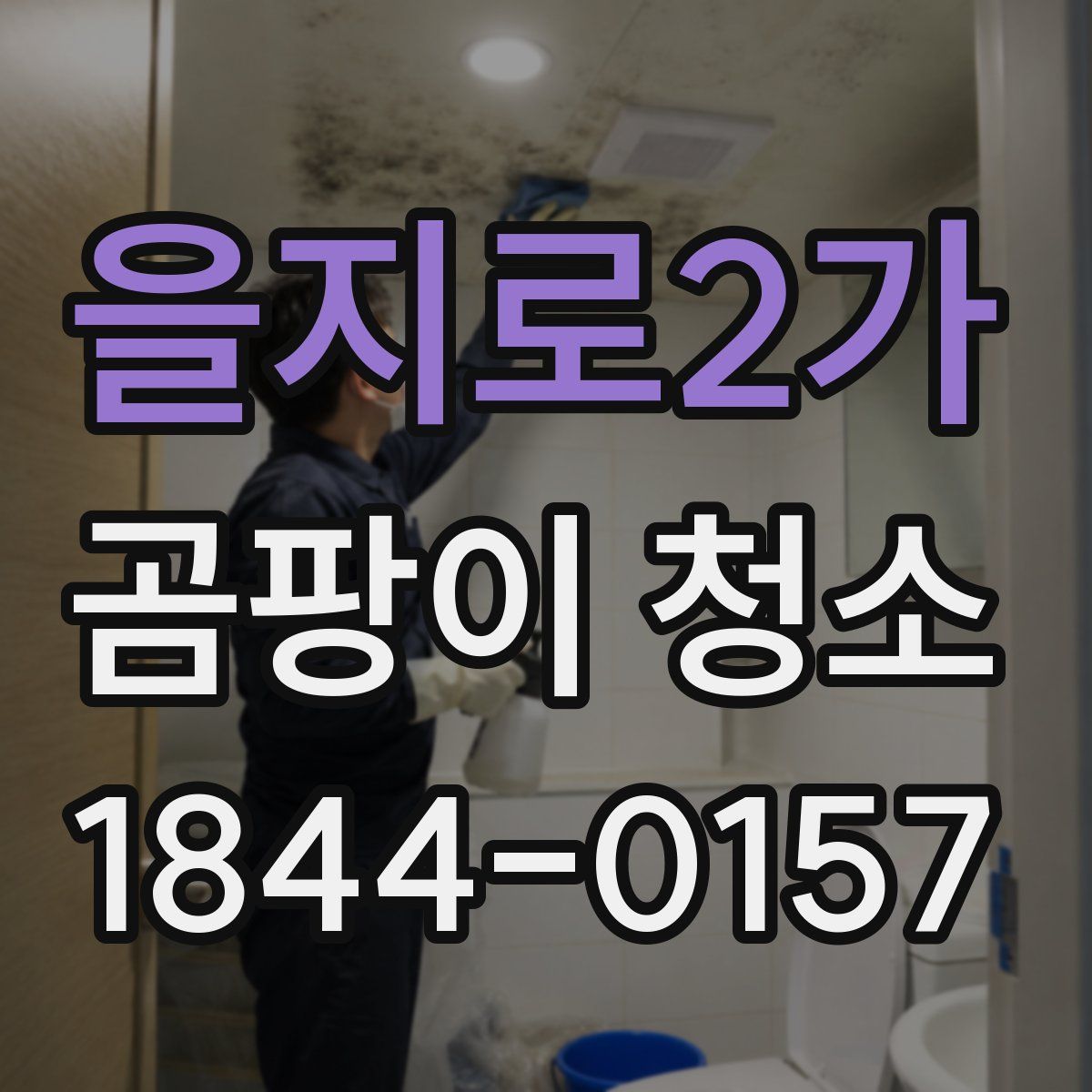 을지로2가 곰팡이 청소