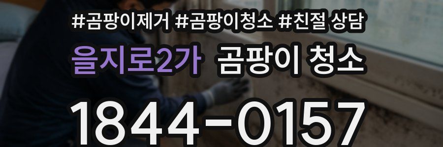 을지로2가 곰팡이 청소