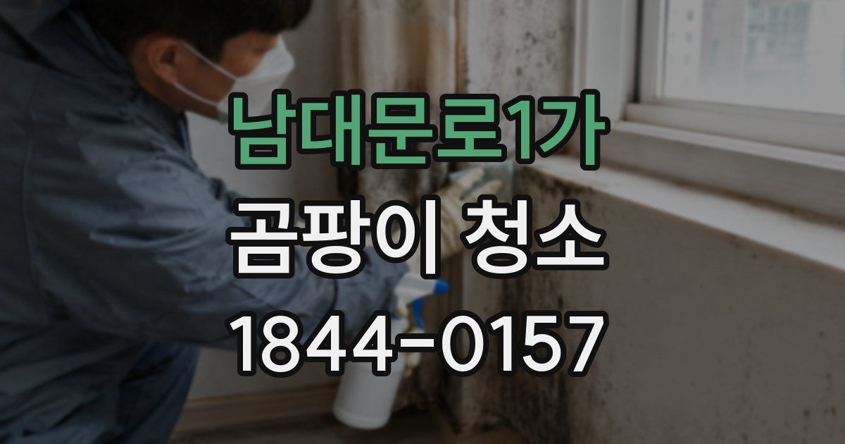 남대문로1가 곰팡이 청소