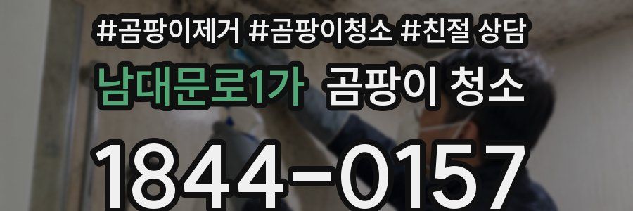 남대문로1가 곰팡이 청소